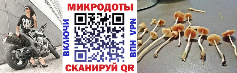 Псилоцибиновые грибы прущие грибы  цены наркотик  Алзамай 