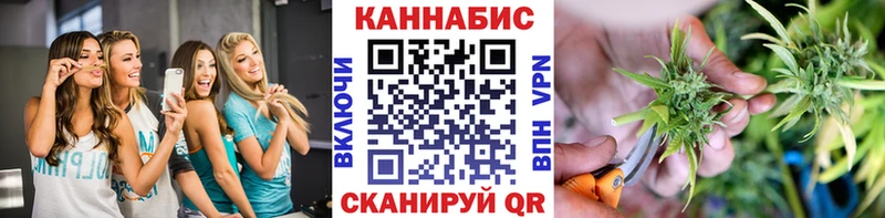 как найти наркотики Алзамай Конопля индика